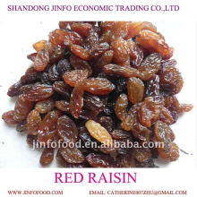 Top Quality sweet Green or Mare's Milk Red Raisin